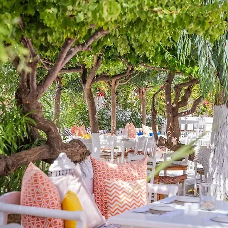Drossia Residenza Boutique * Malia (Crete)